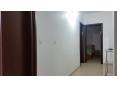 Краткосрочная аренда: Квартира с крышей 2.5 комн. 150$ в сутки, Бат-Ям