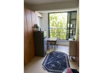Аренда: Квартира 1 комн. 3,300₪ в месяц