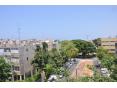 Краткосрочная аренда: Квартира 3 комн. 224$ в сутки, Тель-Авив
